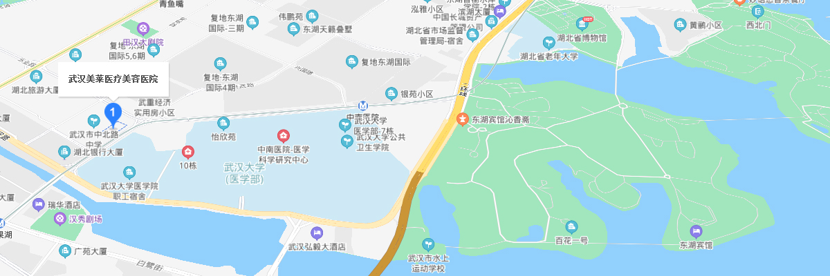 武汉美莱来院路线